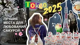 БУДНИ В ЯПОНИИ: сакура в Токио 2025 / храм кошек Gotokuji, самый большой Старбакс и Azabudai Hills