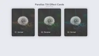 Parallax Tilt Effect Cards  | Using HTML & CSS , JS | 2020