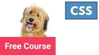 Learn CSS Typography