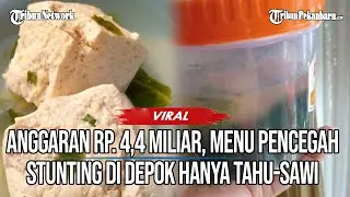 VIRAL Anggaran Rp. 4,4 Miliar, Menu Pencegah Stunting Di Depok Hanya Tahu-Sawi