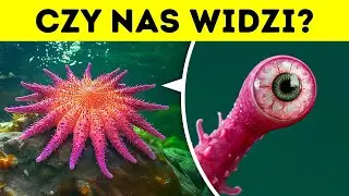100 faktów o zwierzętach, które znalazłem w ciemnych zakamarkach internetu