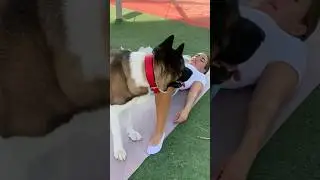 Hilarious Workout Woes: My Dog Hates My Fitness Journey! 😂