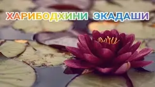 ХАРИБОДХИНИ ( УТТХАНА ) ЭКАДАШИ .