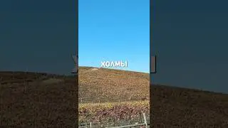 Как выглядит легендарный рабочий стол в 2025 году?