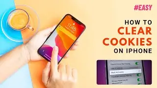 How to Clear Cookies on iPhone 2024 [Easy Guide]