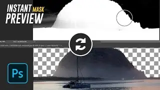 Use The "Split Screen" Trick For Real time Mask Previewing