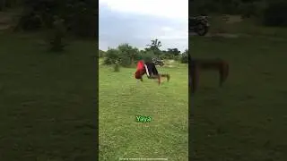 Double Backflip 😨