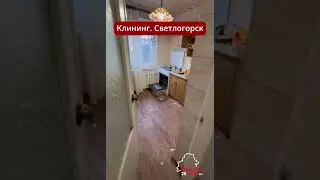 «Такого я нигде не видела». Беларуска показала какой заказ получила клининговая компания.