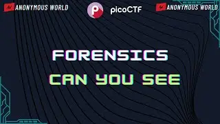 Can You See Pico CTF 2024 Walkthrough | Forensics | Pico CTF 2024