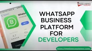 WhatsApp Business Platform | What is WhatsApp Business Platform for Developers?