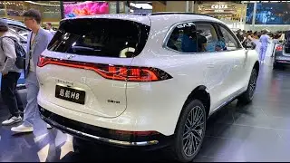 2024 DAYUN YUANHANG H8 EV Walkaround—2024 Beijing Motor Show