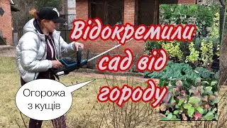 Відокремили ГОРОД  від САДУ .Живопліт з дерену та пухироплідника. СТРИЖКА КУЩІВ. Як саджати кущі .