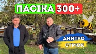 Бджільництво Братів Стрюк 🐝 Полтавщина 🍯