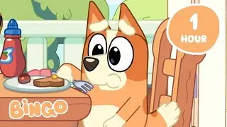 🔴LIVE: Bingo's Big Adventures 😍 🧡 | Adorable Bluey Moments | Bingo