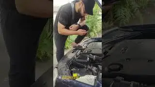 Дагестанская логика 😂