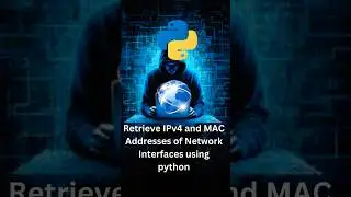 Python Network Programming: Retrieve IPv4 and MAC Addresses of Network Interfaces