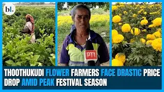 Thoothukudi flower farmers face drastic price drop amid peak wedding and festival season