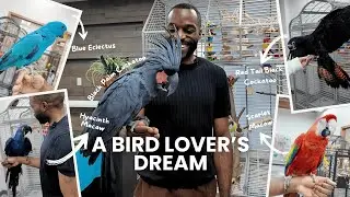 INSIDE Parrot Stars! The Ultimate Parrot Store Tour (Rare & Exotic Birds!)