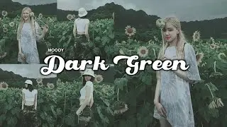 Edit Foto Ala Selebgram | Moody Dark Green Menggunakan VSCO X FULLPACK