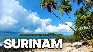 Surinam - Greenest Country On Earth | Tropical Forests