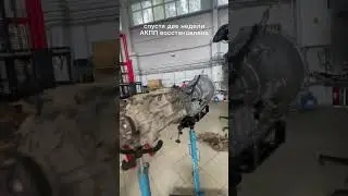 АКПП по кускам в багажнике - чего ожидать после ремонта? Да чего угодно!