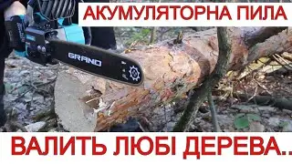 НОВИНКА😬 Пиляє як ДУРНА 😬 Акумуляторна Пила GRAND