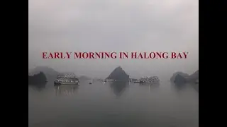 Early morning in Halong Bay, Vietnam Incredible Land Tours