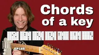 The Most IMPORTANT Thing to Know on Guitar - The 7 Diatonic Chords