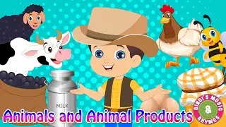 Animals & Animal Products | Educational Rhymes | Bindis Music & Rhymes