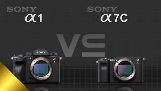 Sony alpha a1 vs Sony alpha a7C