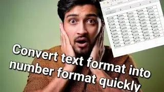 Convert Text format into number format