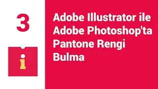 #03 Adobe Illustrator ve Adobe Photoshop'ta Pantone Rengi Bulma (Finding 