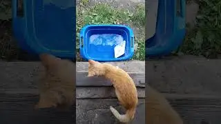 Літом, відпустка, море