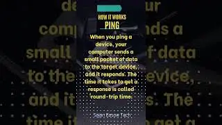 Pingology: Decode the Magic of 'Ping' 🔍 