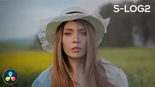 Slog2 Color Grading Sample | 8 bit Footage? No Problem! | Davinci Resolve Cinematic Color Grading