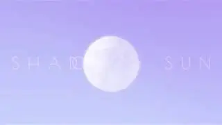 Animated Shadow Overlay for Photoshop | Tropical Shadow and Sunlight | Graphic Design ana & yvy
