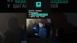 Десять человек освободили из трудового рабства у цыган под Тулой 