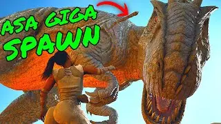 GIGANOTOSAURUS Spawn on Ark Survival Ascended the ISLAND!!! Where to always find one!!!