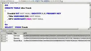 SSIS Part 4 How To Import MP3 Files Into Database Part -193