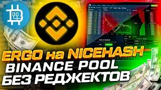 NiceHash добавил ERGO | Binance Pool - лучший пул для майнинга ЕТН | Как бороться с жарой?