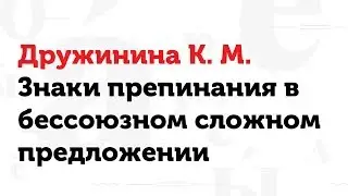 05.04.17 Знаки препинания в бессоюзном сложном предложении. К. М. Дружинина