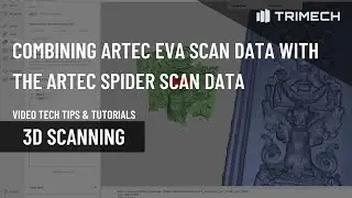 Combining Artec EVA Scan Data With Artec Spider Scan Data for High-Quality Scans