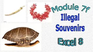 Excel 8 grade Module 7f, ex. 1 p. 84 Illegal Souvenirs