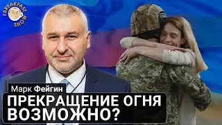 Прекращение огня возможно? Марк Фейгин