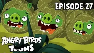 Angry Birds Toons | Green Pig Soup - S1 Ep27