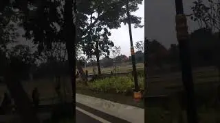 naik mobil gratis di taman mini