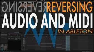 QUICK TIP - Reversing Audio and MIDI - Ableton Live Tutorial