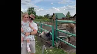 Зоопарк в Ряжске Рязанской области. Ряжский зоо