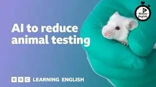 AI to reduce animal testing ⏲️ 6 Minute English