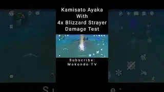 Kamisato Ayaka Aquila favonia With 4x Blizzard Strayer Damage Test | Genshin Impact